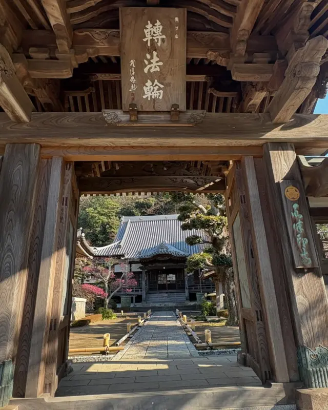 片瀬腰越輪番八ヶ寺②

片瀬本蓮寺の梅

手入れの行き届いた境内に
紅梅、白梅、蝋梅が見事
いまが見頃です！

推古天皇3年（595）、義玄和尚により開山されたと伝えられます。元暦元年（1184）11月、源頼朝により再建されました。「頼朝公駒止の松」と伝えられる切り株が現存しています。文永8年（1271）、龍の口での法難を逃れた際に、ここで休息をしたことから、日蓮聖人像が祀られています。もとは密教寺院だったが、嘉元年間（1303～1306）の頃、日秀が日蓮宗に改宗しました。慶安2年（1649）に朱印地七石を賜りました。
（藤沢市観光公式ホームページより）

文責　常立寺服部

#片瀬腰越輪番八ヶ寺
#本蓮寺
#梅
#湘南
#御朱印寺