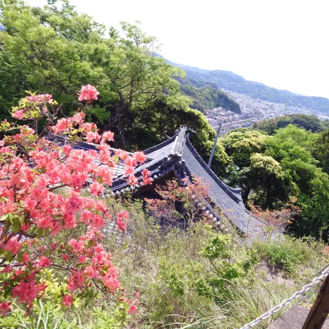 5/5 逗子市
爽やかな、気持ちのいい日が続いています。
ハイキング日和です。
Photo:御猿畠 玄晃

#逗子
#湘南
#法性寺
#まんだら堂
#名越ハイキングコース