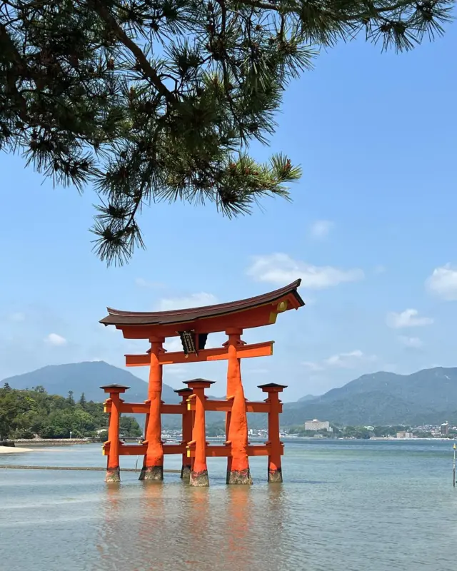 毎年、広島宮島厳島神社の千畳閣で日蓮宗声明師らが施餓鬼法要を営み、数多なる戦没諸霊に供養を捧げます 今年でなんと30年 のべ千数百人の僧侶らが志を継ぎ 祈りを捧げ続けてきました この神奈川県第2部管区からも今年は4人が出仕しています 今年は終戦80年でもあり、先の大戦戦没者慰霊への供養も意義を感じます 午後から100名超による声明音楽大法要です （文責　本龍寺　玄晶）
