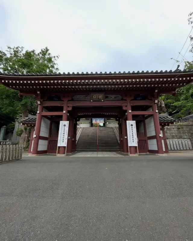 日蓮宗神奈川県第二部寺庭婦人会は 令和7年5月23日（金）に 藤沢市・本山　龍口寺・龍口会館において 総会を開催いたしました。 寺庭婦人会　鈴木 #日蓮宗#いのちに合掌 #法華経#日蓮聖人 #龍口寺#龍口会館 #神奈川#湘南#藤沢 #江ノ島電鉄#江ノ電 #龍口寺前交差点#併用軌道区間 #寺庭婦人会#寺庭婦人