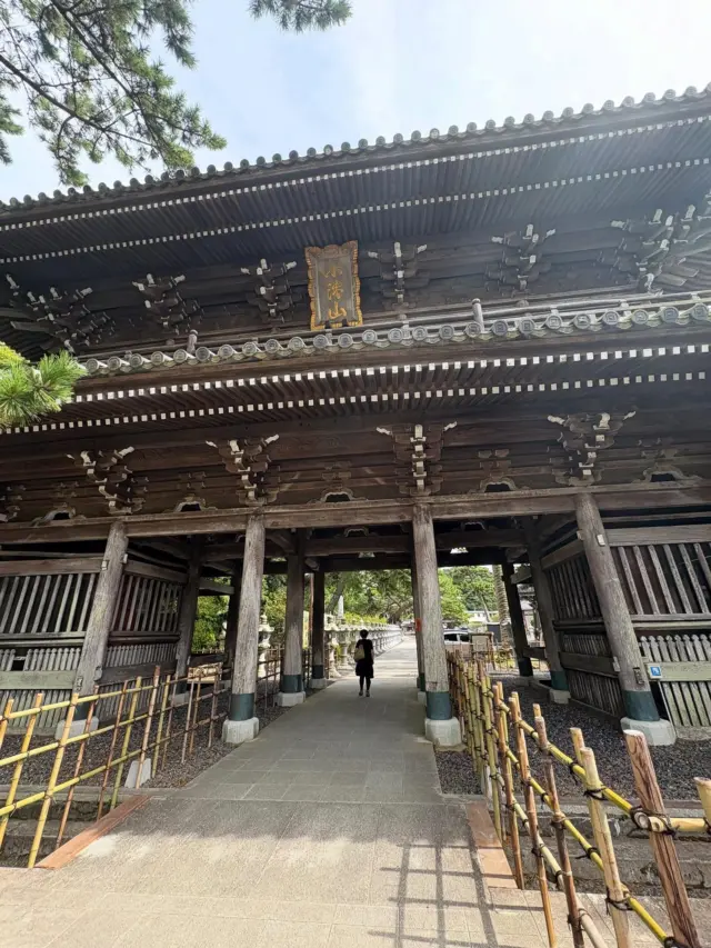 宗祖日蓮聖人御生誕の地
日蓮宗大本山
千葉小湊　誕生寺

本日第86世貫首晋山式が行われました

鎌倉から車で約2時間半
魚も美味しく風光明媚な素晴らしい所です

1222年(貞応元)2月16日、聖人が生まれると、浜辺には泉が湧いて蓮の花が咲き、海には鯛が群れをなして現れ、聖人誕生を祝ったといわれており、今も「鯛の浦」では珍しい鯛の群生を見ることができます。

是非一度お参りください

文責　常立寺　服部

#日蓮宗 
#小湊誕生寺 
#いのちに合掌
