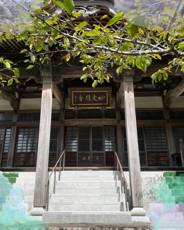 日蓮宗神奈川県第二部寺庭婦人会は 令和7年10月6日（月）に 逗子市　妙光寺さまにおいて 幹事会をおこないました。 寺庭婦人会　鈴木 #日蓮宗#いのちに合掌 #法華経#日蓮聖人 #神奈川#湘南 #逗子#妙光寺 #寺庭婦人会#寺庭婦人