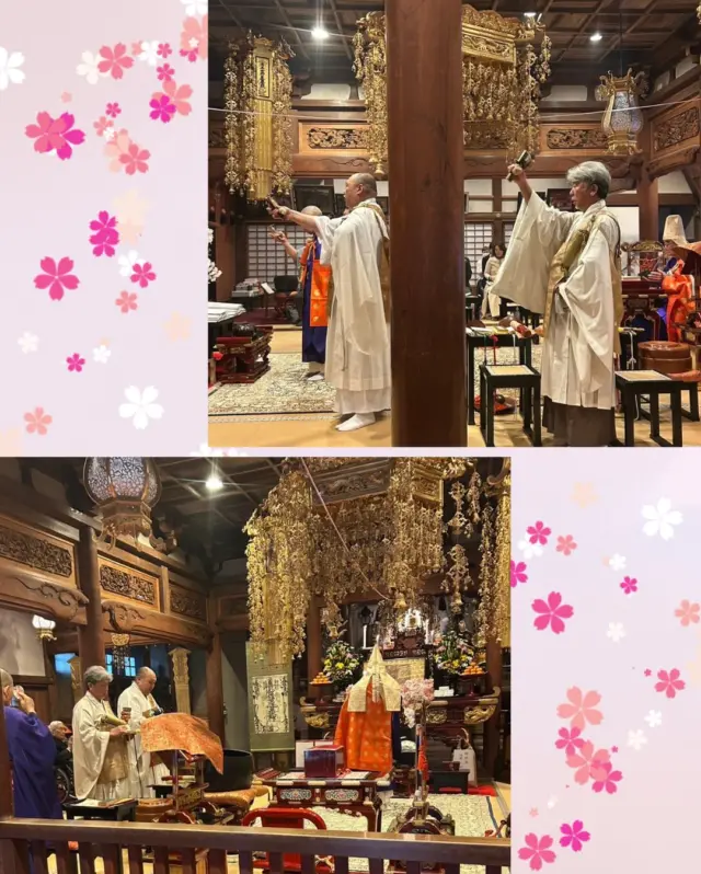 寺庭婦人会　鈴木です。 11月 御会式が無事に終わりホッとしました。 境内の花や紅葉、落葉に季節を感じています。 #日蓮宗#いのちに合掌