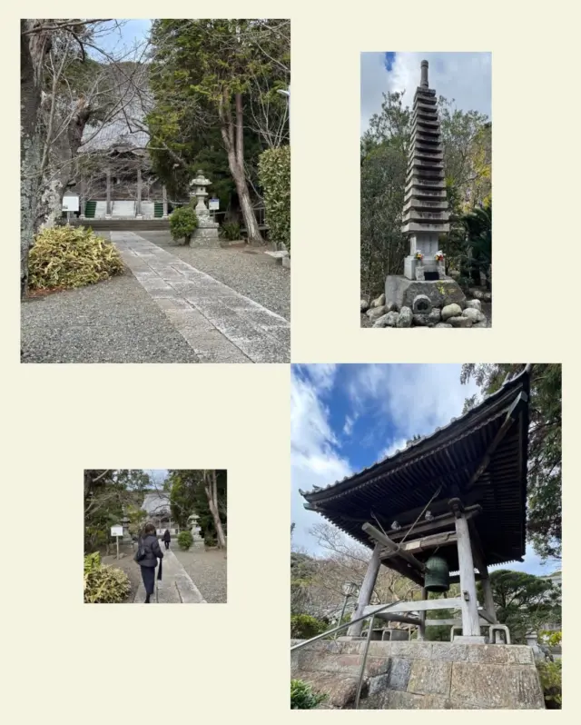 日蓮宗神奈川県第二部寺庭婦人会は 令和7年12月19日（金）に 逗子市　妙光寺さまにおいて 幹事会をおこないました。 境内のギンナンや柚子やブルーベリーを収穫して 加工をしているメンバーもおります。 寺庭婦人会　鈴木 #日蓮宗#いのちに合掌#法華経#日蓮聖人